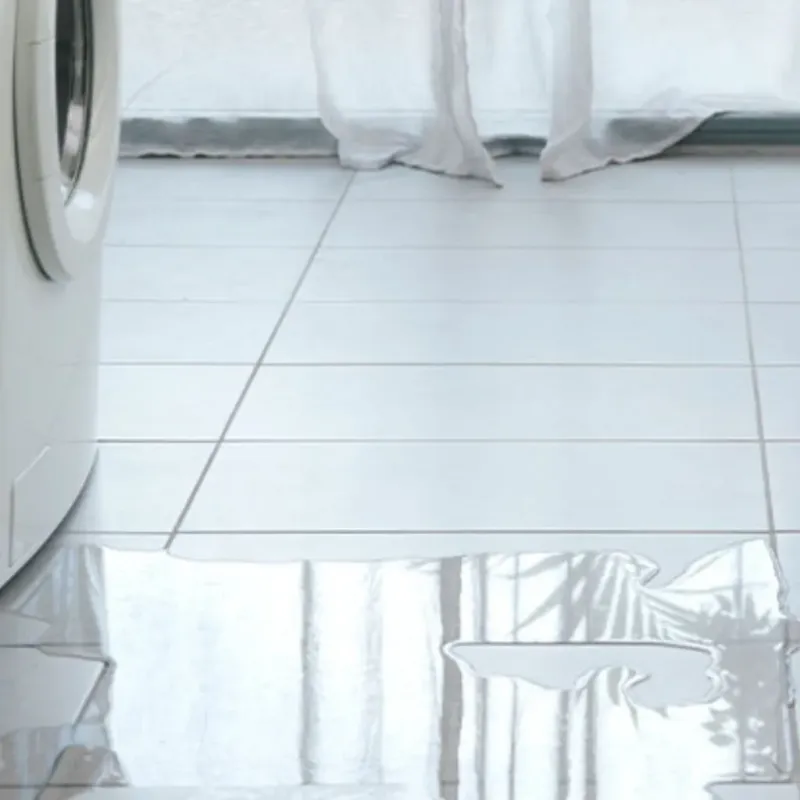 Appliance Leak Cleanup in Chatom, AL